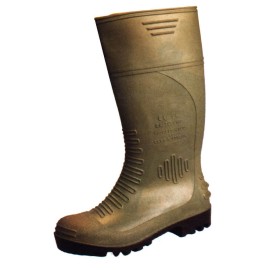 BOTTES PVC SBP POINTE/PLANE VERTE