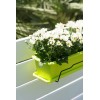 BALCONERA+SOPORTE PISTACHO - 50 CM