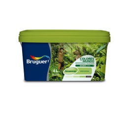 PEINTURE PLASTIQUE AMAZONAS TEINTE VERT - 4 L