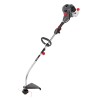 DECESPUGLIATORE A BENZINA - 25,4 CM3